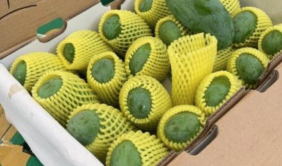 买了一箱芒果怎么保存