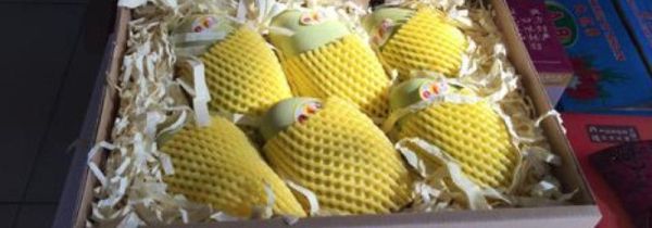 买了一箱芒果怎么保存