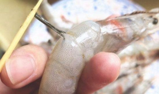 鸡尾虾线怎么弄