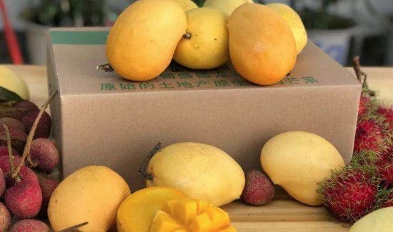 买了一箱芒果怎么保存