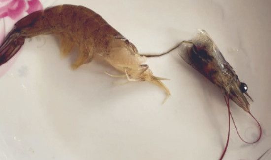 鸡尾虾线怎么弄