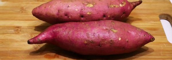 发芽的红薯能吃吗有毒吗