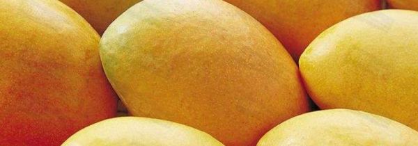 芒果和百香果能一起吃吗