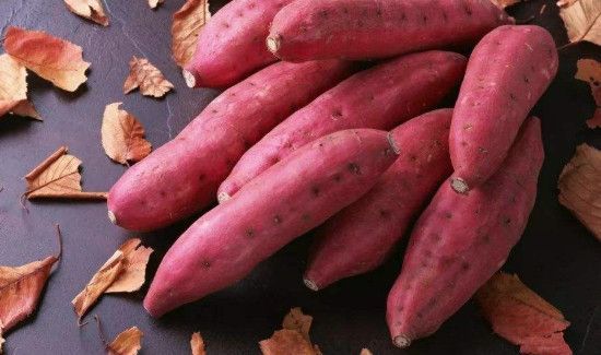 发芽的红薯能吃吗有毒吗