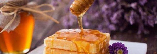 苦瓜和蜂蜜一起吃可以吗?