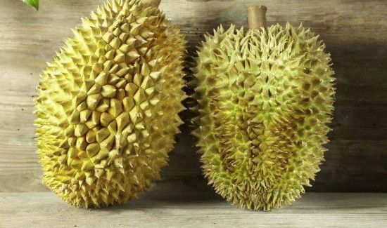 自嗨锅能带上高铁吗