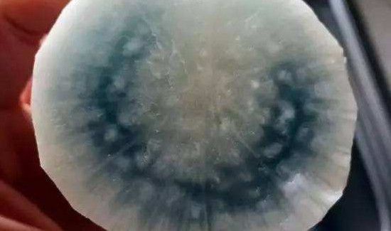 萝卜切开里面是蓝色可以吃吗