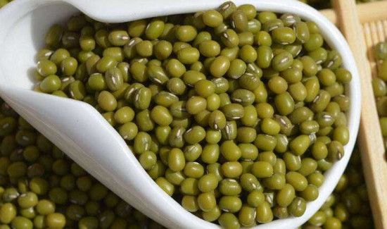 绿豆和牛肉能一起吃吗