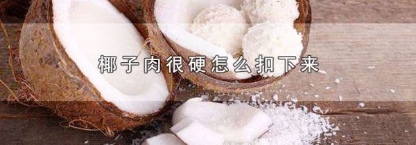 椰子肉很硬怎么扣下来