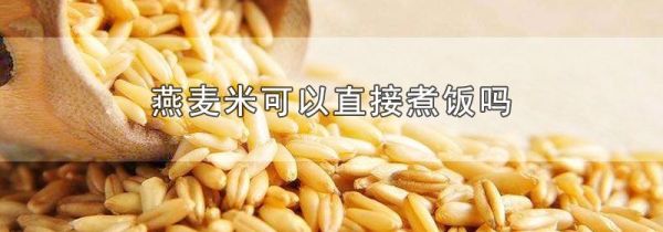 燕麦米可以直接煮饭吗