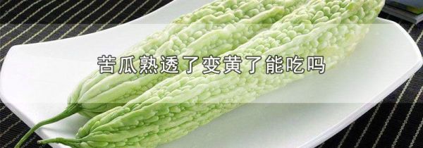 苦瓜熟透了变黄了能吃吗