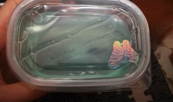 没有胶水和成型水怎么做起泡胶