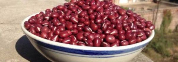 红豆没煮熟可以吃吗