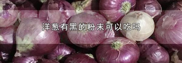 洋葱有黑的粉末可以吃吗