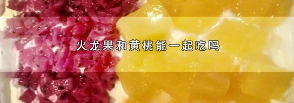 火龙果和黄桃能一起吃吗