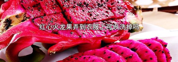 红心火龙果弄到衣服上可以洗掉吗