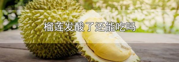 榴莲发酸了还能吃吗