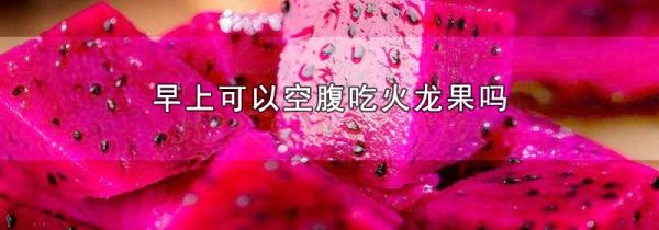 早上可以空腹吃火龙果吗