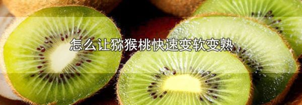 怎么让猕猴桃快速变软变熟