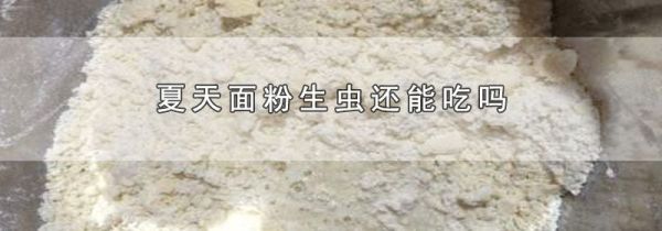 夏天面粉生虫还能吃吗
