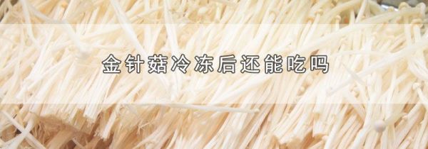 金针菇冷冻后还能吃吗