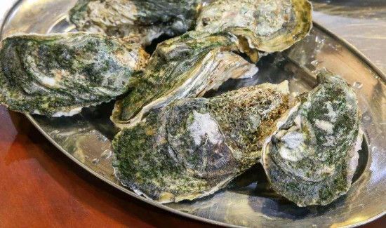 生蚝在泡沫箱保存多久