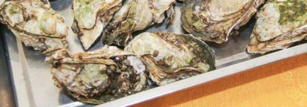 生蚝在泡沫箱保存多久