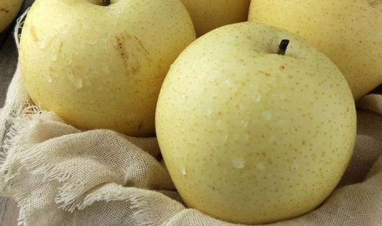 梨和虾能一起吃吗