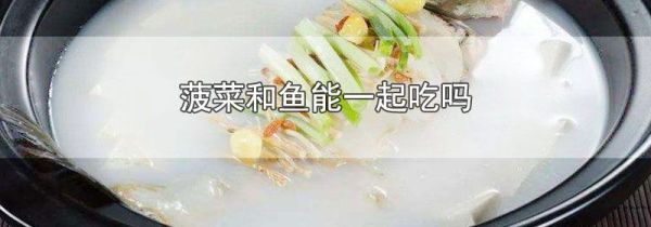 菠菜和鱼能一起吃吗