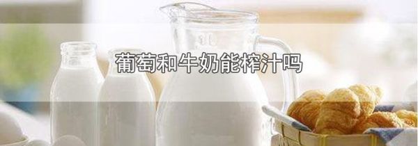 葡萄和牛奶能榨汁吗