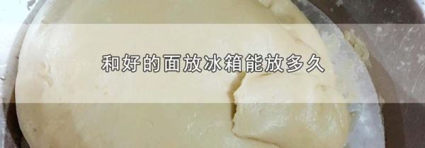 和好的面放冰箱能放多久