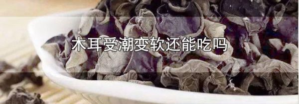 木耳受潮变软还能吃吗