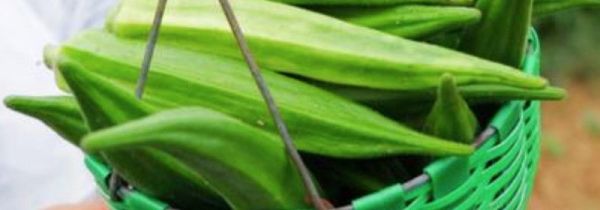 秋葵怎么弄才不粘