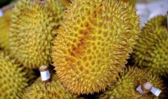 榴莲没开口是不是没熟