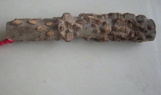 花椒木如何留疙瘩去皮