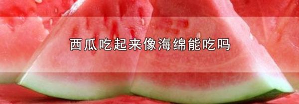 西瓜吃起来像海绵能吃吗