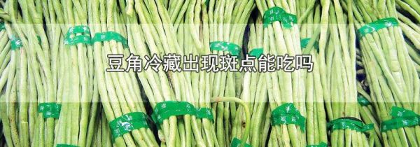 豆角冷藏出现斑点能吃吗