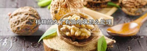 核桃放久了有油哈味怎么处理