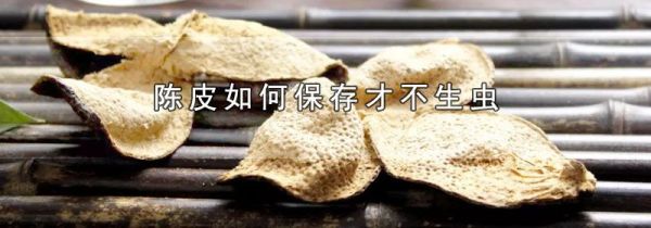 陈皮如何保存才不生虫