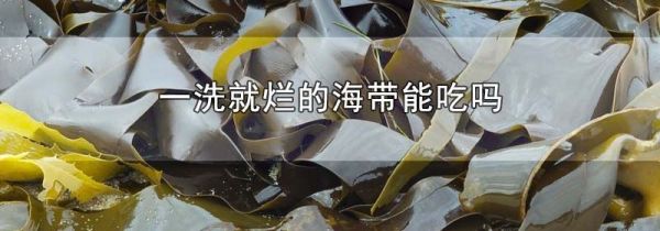 一洗就烂的海带能吃吗