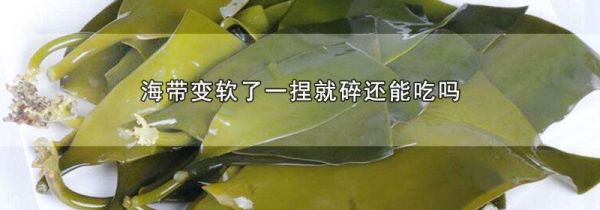 海带变软了一捏就碎还能吃吗