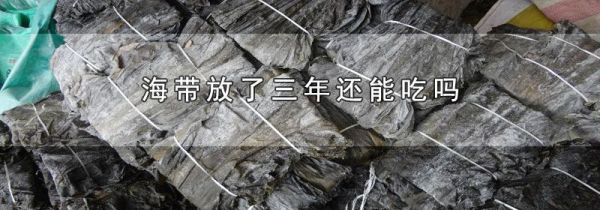 海带放了三年还能吃吗