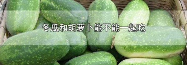 冬瓜和胡萝卜能不能一起吃