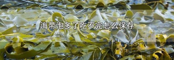 海带泡多了吃不完怎么保存