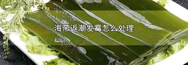 海带返潮发霉怎么处理