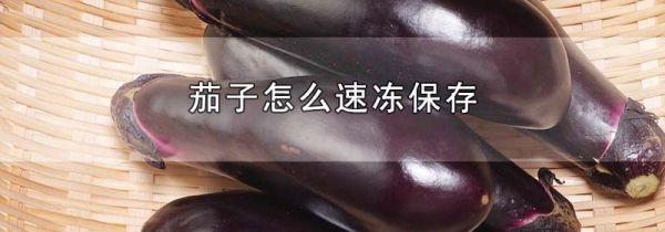 茄子怎么速冻保存