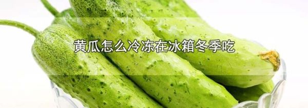 黄瓜怎么冷冻在冰箱冬季吃