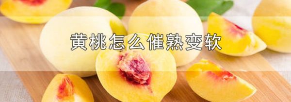 黄桃怎么催熟变软