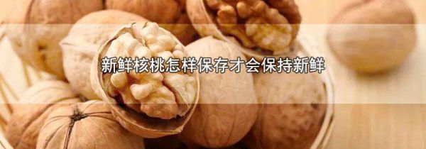 新鲜核桃怎样保存才会保持新鲜