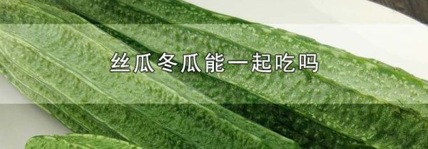 丝瓜冬瓜能一起吃吗